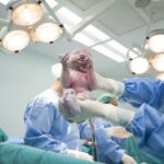 Birthing Choices: How Obstetricians And Gynecologists Can Help